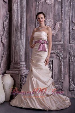 Champagne Beaded Satin Brush Belt Mother Dress