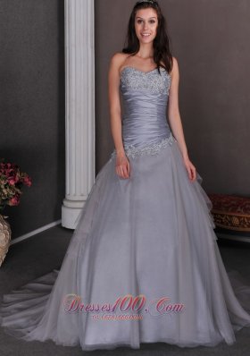 Grey Wedding Bridal Dress A-line Court Appliques