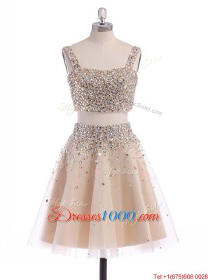 High Quality Straps Straps Champagne Sleeveless Organza Zipper Evening Dress