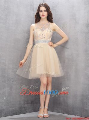 Knee Length Baby Blue Prom Dresses Scoop Sleeveless Zipper