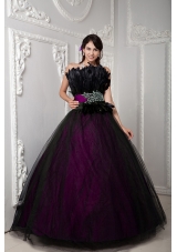 2014 Popular Colourful Puffy Strapless Beading Quinceanera Dress with Feather