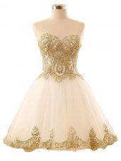 A-line Party Dress for Toddlers Champagne Sweetheart Tulle Sleeveless Mini Length Lace Up