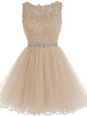 Traditional Champagne Sleeveless Tulle Zipper Party Dress for Prom and Party and Sweet 16