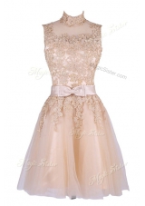 Sleeveless Tulle Knee Length Zipper in Champagne for with Appliques