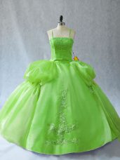 Organza Lace Up Quinceanera Dress Sleeveless Floor Length Appliques