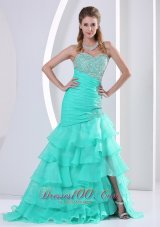 Beaded Decorate and Ruch Bodice Celebrity Dress Mermaid