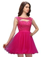 Fuchsia A-line Organza Bateau Sleeveless Beading and Appliques Mini Length Zipper Homecoming Gowns