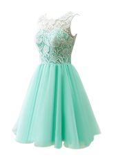 Scoop Clasp Handle Tulle Sleeveless Knee Length Prom Dresses and Lace