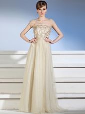 Gorgeous Champagne Column/Sheath Appliques Formal Evening Gowns Side Zipper Chiffon and Tulle Sleeveless Floor Length