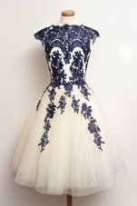 Best Scalloped Cap Sleeves Tulle Prom Dress Appliques Zipper