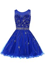 Strapless Sleeveless Zipper Homecoming Dress Royal Blue Tulle