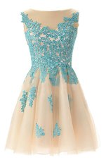 Discount Champagne Zipper Cocktail Dresses Appliques Sleeveless Mini Length