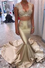 Mermaid Champagne Sleeveless Appliques Zipper Prom Dress